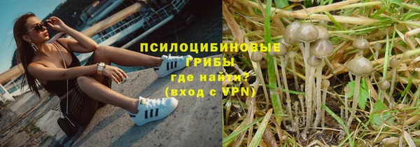 гидропоника Кинешма