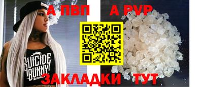 шишки Заволжье