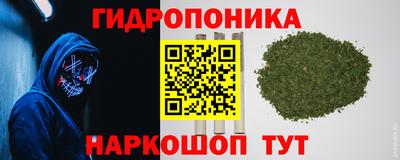 мяу мяу мука Заводоуковск