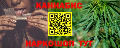 шишки Заволжье