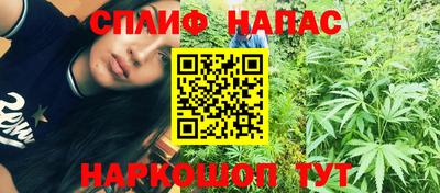 шишки Заволжье