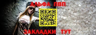 шишки Заволжье