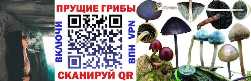 Галлюциногенные грибы мицелий  Пушкино 