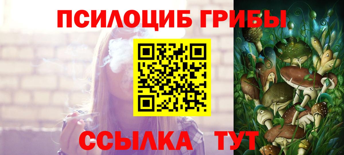 Галлюциногенные грибы Magic Shrooms Пушкино